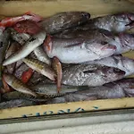 Armonia * Tirós