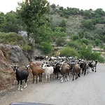 Armonia בית הארחה