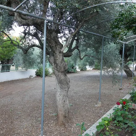 בית הארחה Armonia *
